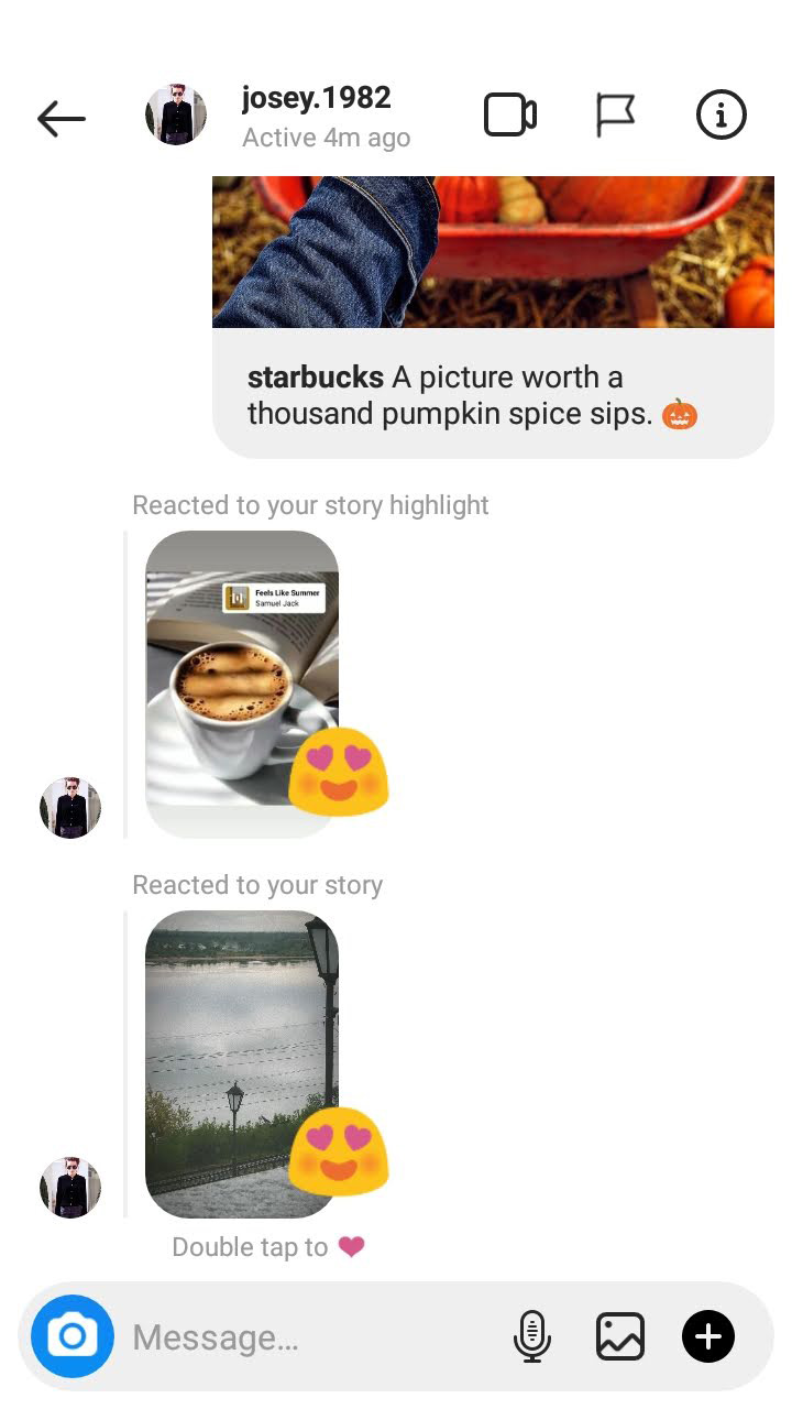 Stories reactions in an Instagram chat.