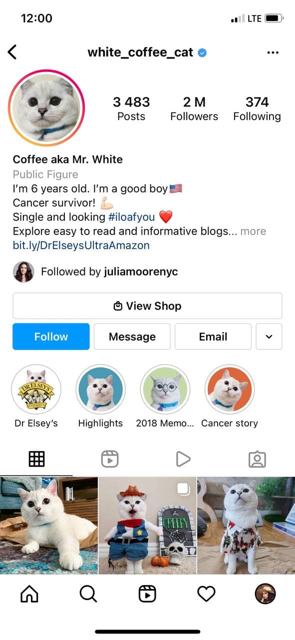 cool quotes for instagram bio